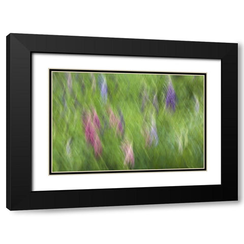 Canada Abstract blur of garden colors Black Modern Wood Framed Art Print with Double Matting by Anon, Ellen