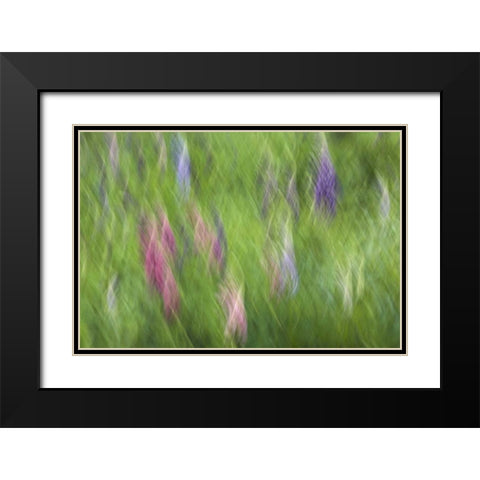 Canada Abstract blur of garden colors Black Modern Wood Framed Art Print with Double Matting by Anon, Ellen