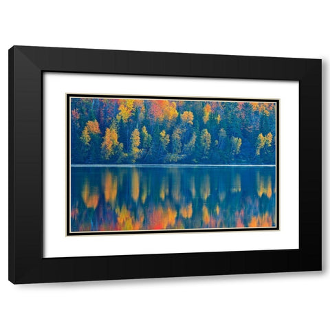 Canada-New Brunswick-Mactaquac Autumn forest reflections on St John River Black Modern Wood Framed Art Print with Double Matting by Jaynes Gallery