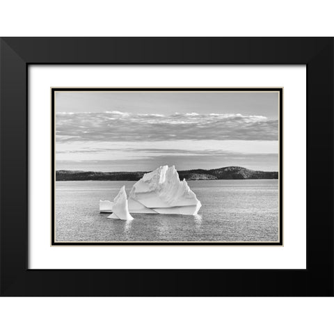 Canada-Newfoundland-Eastport Icebergs floating in Salvage Bay of Atlantic Ocean Black Modern Wood Framed Art Print with Double Matting by Jaynes Gallery