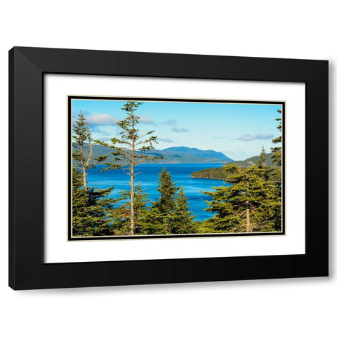 Gros Morne National Park-Wild Cove on Bonne Bay-Newfoundland-Canada Black Modern Wood Framed Art Print with Double Matting by DeFreitas, Michael