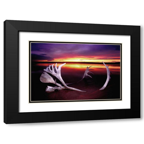 Canada, Whitefish Lake Sunset on caribou antlers Black Modern Wood Framed Art Print with Double Matting by Welling, Dave