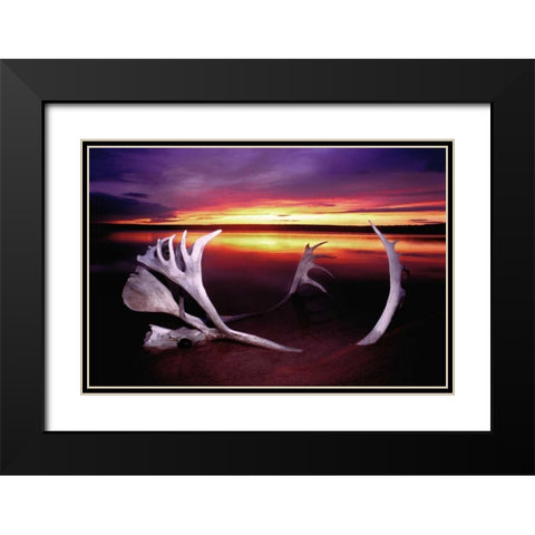 Canada, Whitefish Lake Sunset on caribou antlers Black Modern Wood Framed Art Print with Double Matting by Welling, Dave