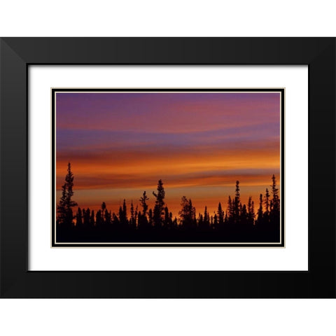 Canada, Ft Resolution Sunrise over forest Black Modern Wood Framed Art Print with Double Matting by Grandmaison, Mike