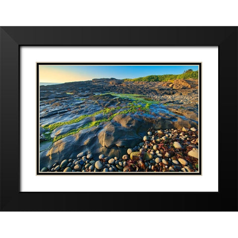 Canada-Nova Scotia Rocky shoreline along Bay of Fundy Black Modern Wood Framed Art Print with Double Matting by Jaynes Gallery