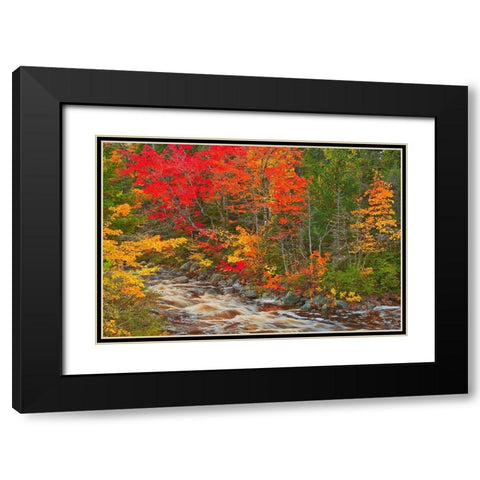 Canada-Nova Scotia Mary-Anne Falls and forest in autumn foliage Black Modern Wood Framed Art Print with Double Matting by Jaynes Gallery