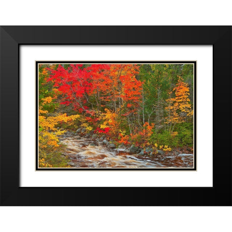 Canada-Nova Scotia Mary-Anne Falls and forest in autumn foliage Black Modern Wood Framed Art Print with Double Matting by Jaynes Gallery