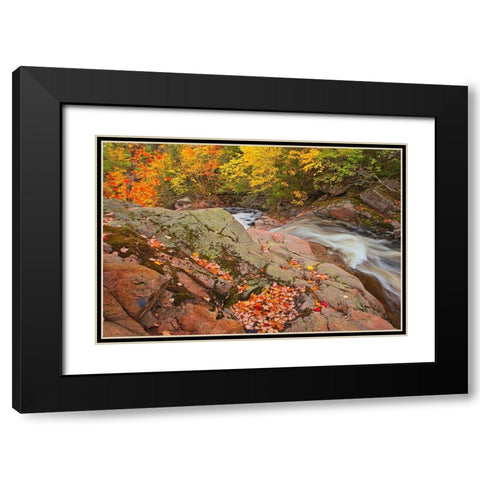 Canada-Nova Scotia Mary-Anne Falls and forest in autumn foliage Black Modern Wood Framed Art Print with Double Matting by Jaynes Gallery