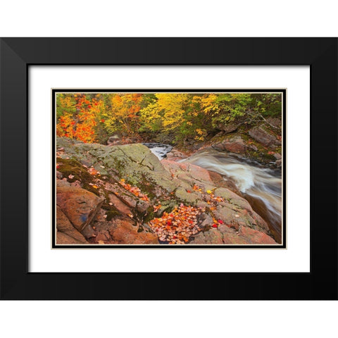 Canada-Nova Scotia Mary-Anne Falls and forest in autumn foliage Black Modern Wood Framed Art Print with Double Matting by Jaynes Gallery