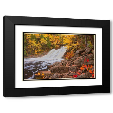 Canada-Nova Scotia Mary-Anne Falls and forest in autumn foliage Black Modern Wood Framed Art Print with Double Matting by Jaynes Gallery