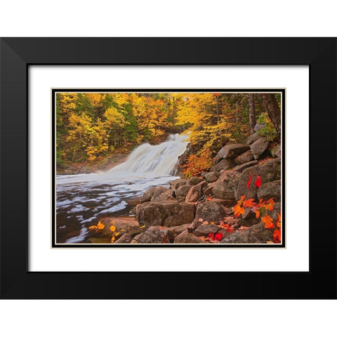 Canada-Nova Scotia Mary-Anne Falls and forest in autumn foliage Black Modern Wood Framed Art Print with Double Matting by Jaynes Gallery