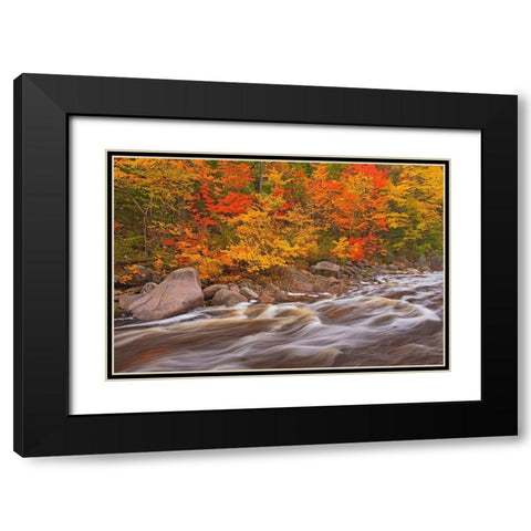 Canada-Nova Scotia Mary-Anne Falls and forest in autumn foliage Black Modern Wood Framed Art Print with Double Matting by Jaynes Gallery