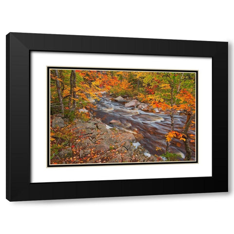 Canada-Nova Scotia Mary-Anne Falls and forest in autumn foliage Black Modern Wood Framed Art Print with Double Matting by Jaynes Gallery