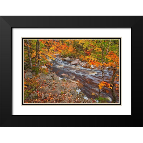 Canada-Nova Scotia Mary-Anne Falls and forest in autumn foliage Black Modern Wood Framed Art Print with Double Matting by Jaynes Gallery
