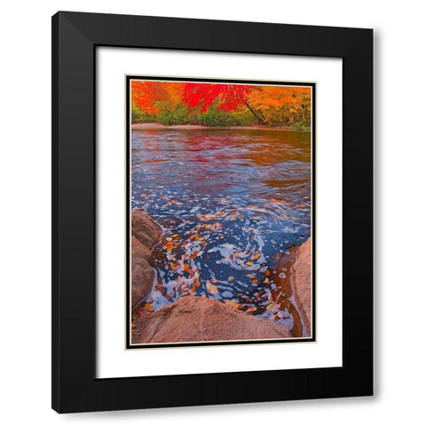 Canada-Nova Scotia-Cape Breton Island North Aspy River and forest in autumn Black Modern Wood Framed Art Print with Double Matting by Jaynes Gallery