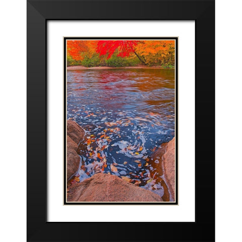 Canada-Nova Scotia-Cape Breton Island North Aspy River and forest in autumn Black Modern Wood Framed Art Print with Double Matting by Jaynes Gallery