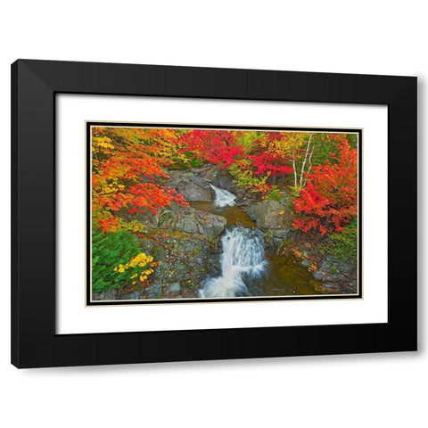 Canada-Nova Scotia-Cape Breton Island Morrison Brook and forest in autumn foliage Black Modern Wood Framed Art Print with Double Matting by Jaynes Gallery