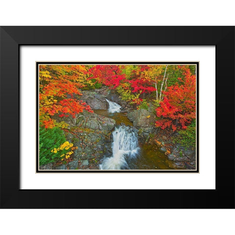 Canada-Nova Scotia-Cape Breton Island Morrison Brook and forest in autumn foliage Black Modern Wood Framed Art Print with Double Matting by Jaynes Gallery
