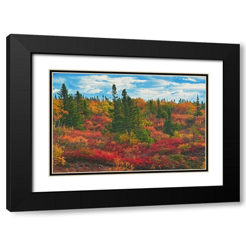 Canada-Nova Scotia-Cape Breton Island Forest in autumn foliage Black Modern Wood Framed Art Print with Double Matting by Jaynes Gallery