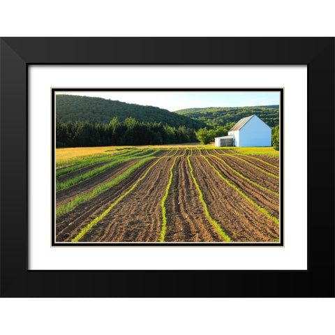 Canada-Nova Scotia-Cape Breton-Miller Farm-Margaree Black Modern Wood Framed Art Print with Double Matting by Wall, Patrick J.
