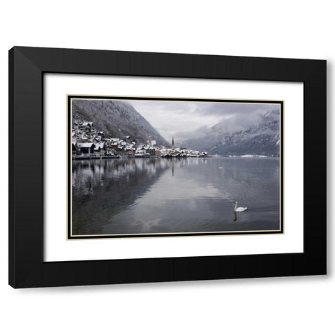 Austria, Hallstatt Swan on Lake Hallstatt Black Modern Wood Framed Art Print with Double Matting by Young, Bill