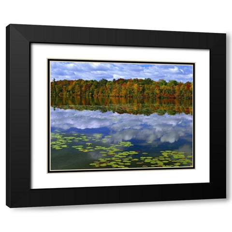 Canada, Ontario Park Haven Lake in autumn Black Modern Wood Framed Art Print with Double Matting by Flaherty, Dennis
