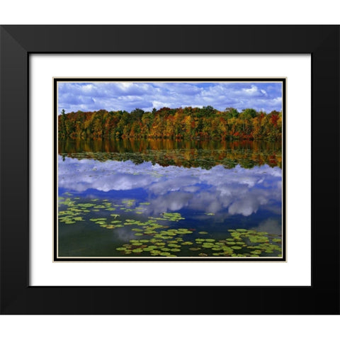 Canada, Ontario Autumn around Park Haven Lake Black Modern Wood Framed Art Print with Double Matting by Flaherty, Dennis