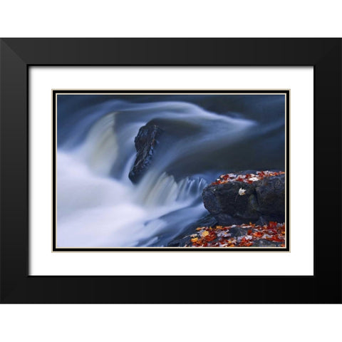 Canada, Emsdale Maple leaves by Magnetewan River Black Modern Wood Framed Art Print with Double Matting by Grandmaison, Mike
