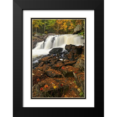 Canada, Emsdale Maple leaves by Magnetewan River Black Modern Wood Framed Art Print with Double Matting by Grandmaison, Mike