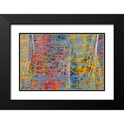 Canada, Ontario, Minden Autumn reflects in pond Black Modern Wood Framed Art Print with Double Matting by Grandmaison, Mike