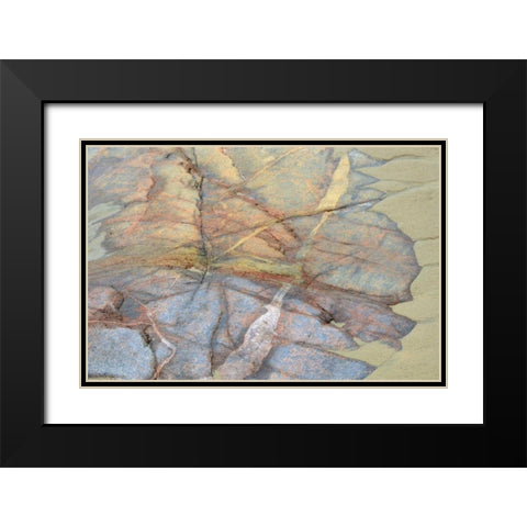 Canada, Ontario Sand and rock in Neys PP Black Modern Wood Framed Art Print with Double Matting by Grandmaison, Mike