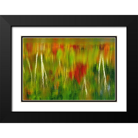 Canada Fall reflection in St Poithier Lake Black Modern Wood Framed Art Print with Double Matting by Grandmaison, Mike