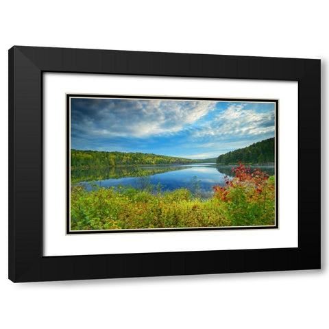 Canada, Algonquin PP Landscape of Costello Lake Black Modern Wood Framed Art Print with Double Matting by Grandmaison, Mike