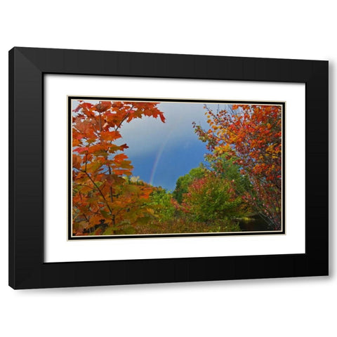 Canada, Ontario Rainbow and maples in autumn Black Modern Wood Framed Art Print with Double Matting by Grandmaison, Mike