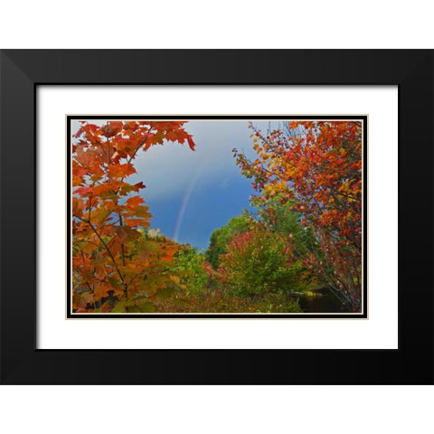 Canada, Ontario Rainbow and maples in autumn Black Modern Wood Framed Art Print with Double Matting by Grandmaison, Mike