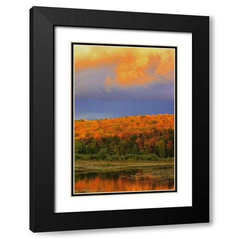 Canada, Ontario, Oxtongue Lake Sky and forest Black Modern Wood Framed Art Print with Double Matting by Grandmaison, Mike