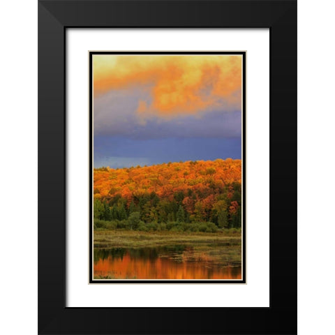 Canada, Ontario, Oxtongue Lake Sky and forest Black Modern Wood Framed Art Print with Double Matting by Grandmaison, Mike