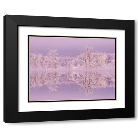 Canada, Ottawa Frosted trees by Shirleys Bay Black Modern Wood Framed Art Print with Double Matting by Young, Bill