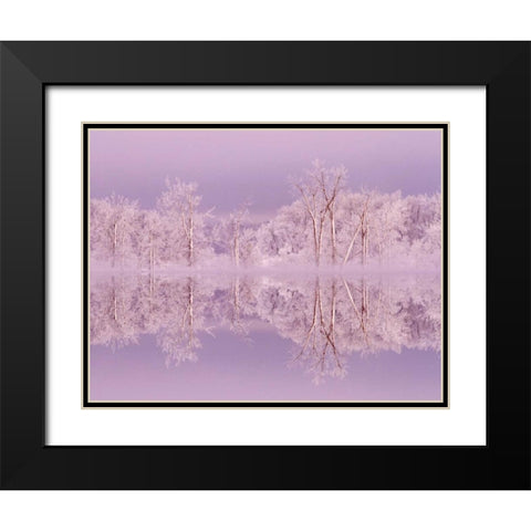 Canada, Ottawa Frosted trees by Shirleys Bay Black Modern Wood Framed Art Print with Double Matting by Young, Bill