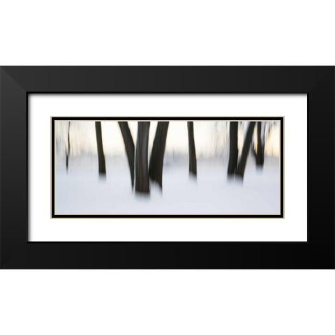 Canada, Ottawa, Ottawa River Abstract of trees Black Modern Wood Framed Art Print with Double Matting by Young, Bill