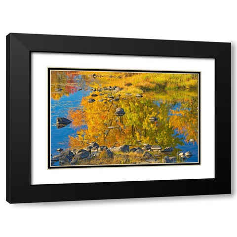 Canada-Ontario-Whitefish Autumn colors reflect in Vermilion River Black Modern Wood Framed Art Print with Double Matting by Jaynes Gallery