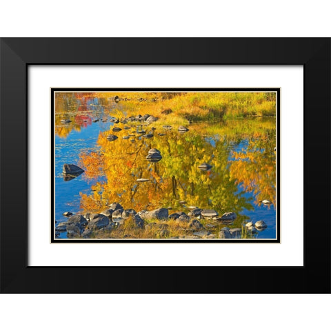Canada-Ontario-Whitefish Autumn colors reflect in Vermilion River Black Modern Wood Framed Art Print with Double Matting by Jaynes Gallery