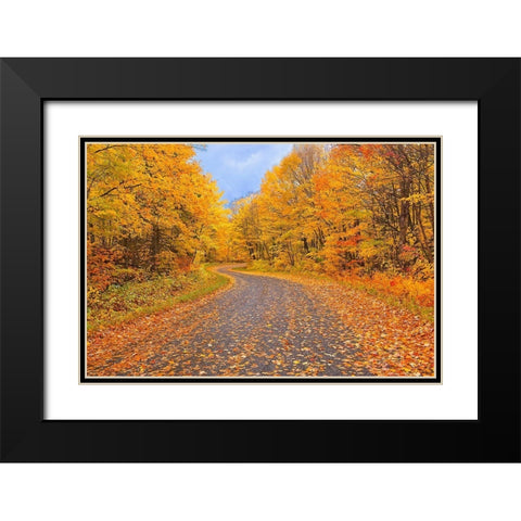 Canada-Ontario Country road through forest Black Modern Wood Framed Art Print with Double Matting by Jaynes Gallery