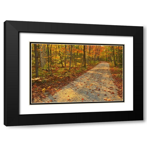 Canada-Ontario-Bruce Peninsula National Park Autumn on the Bruce Trail Black Modern Wood Framed Art Print with Double Matting by Jaynes Gallery