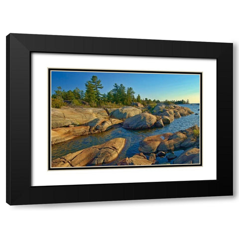 Canada-Ontario-Honey Harbour Trees on Precambrian shield rock Black Modern Wood Framed Art Print with Double Matting by Jaynes Gallery