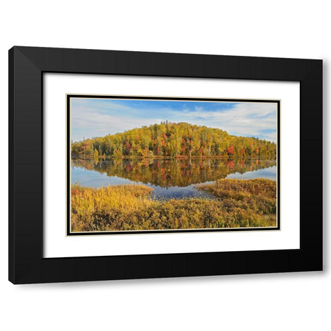 Canada-Ontario-Goulais River Forest reflection in lake Black Modern Wood Framed Art Print with Double Matting by Jaynes Gallery