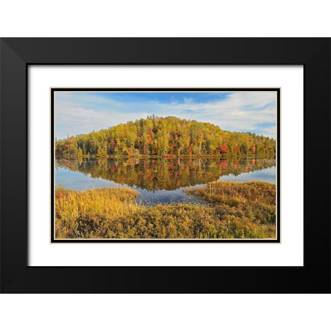 Canada-Ontario-Goulais River Forest reflection in lake Black Modern Wood Framed Art Print with Double Matting by Jaynes Gallery