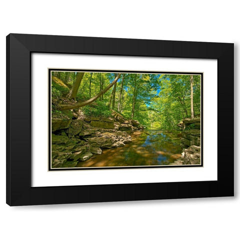 Canada-Ontario-Jordan 16 Mile Creek at Louth Falls Black Modern Wood Framed Art Print with Double Matting by Jaynes Gallery