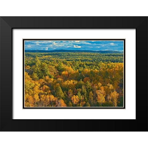 Canada-Ontario-Neebing County Forest in autumn Black Modern Wood Framed Art Print with Double Matting by Jaynes Gallery
