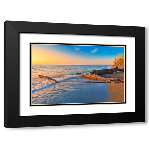 Canada-Ontario-Point Pelee National Park Driftwood on Lake Erie shoreline at sunrise Black Modern Wood Framed Art Print with Double Matting by Jaynes Gallery